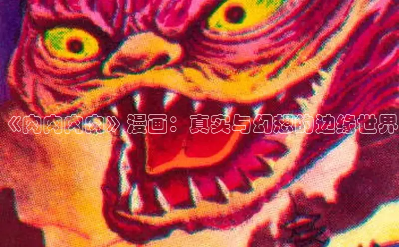 51动画网页版官网